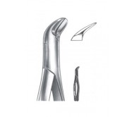 Extracting Forceps